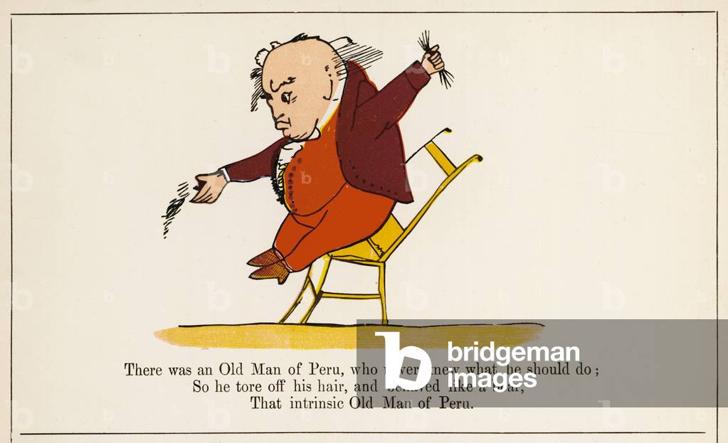 Vecchio del Perù, Edward Lear