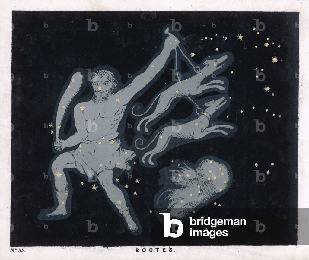 BLUNT/STIVALETTI/PLATE 35
