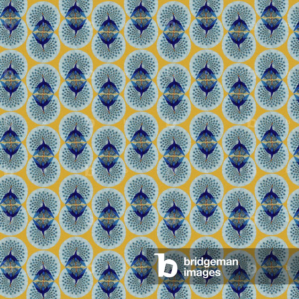 Image of Print depicting Repeating Pattern - peacocks 1801