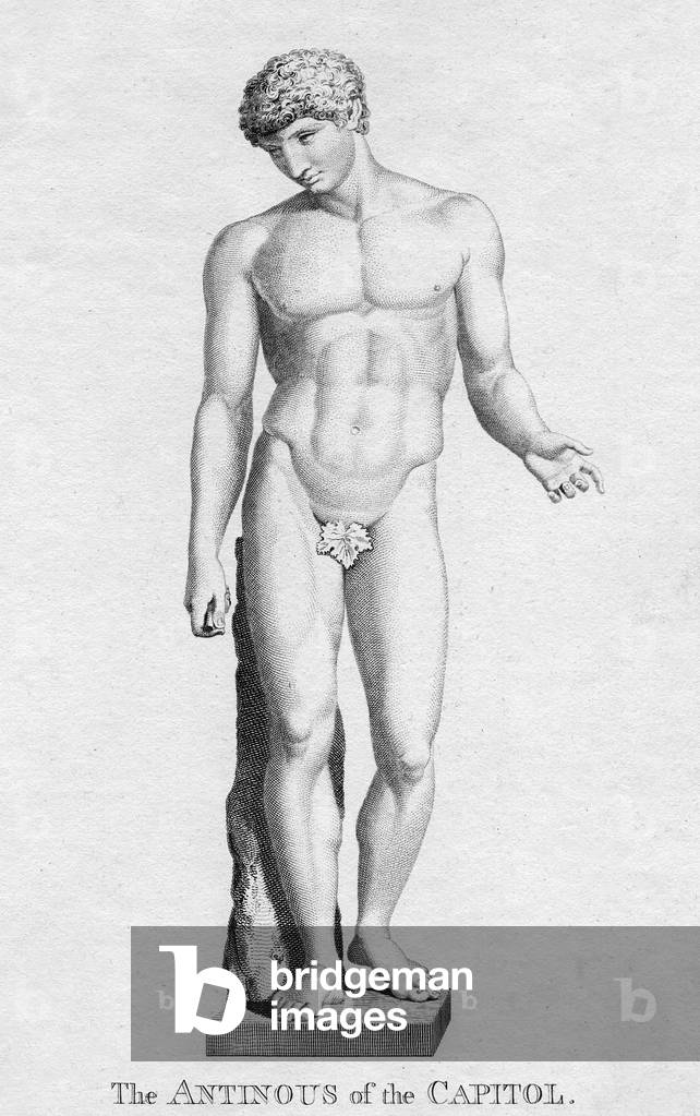 Immagine di Incisione "ANTINOSO" 1789