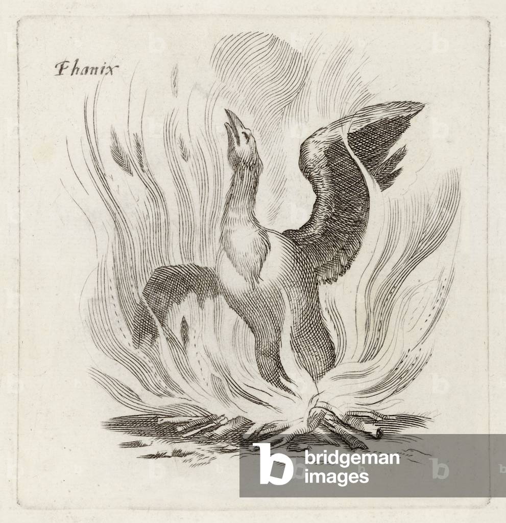 Immagine di Stampa "Folklore - Uccelli - Phoenix" 1801 di John Johnstone