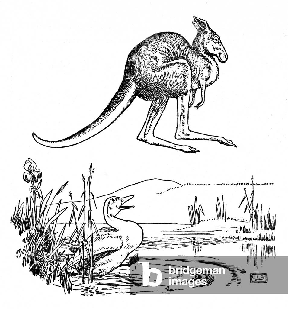 The Duck and the Kangaroo - Edward Lear
