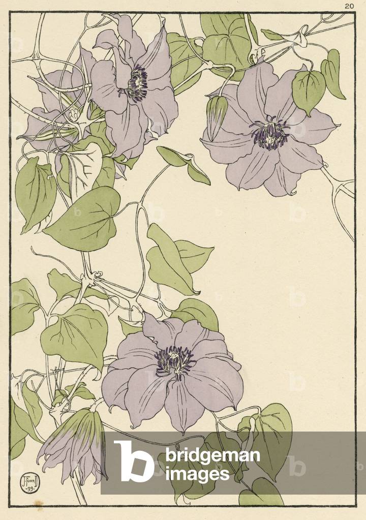 Image of Print depicting Clematis 1899
