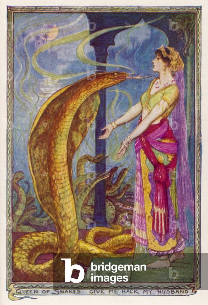 THE SNAKE PRINCE/QUEEN