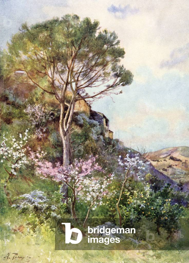 Immagine di Stampa "Calatafimi" 1911 di Alberto Pisa