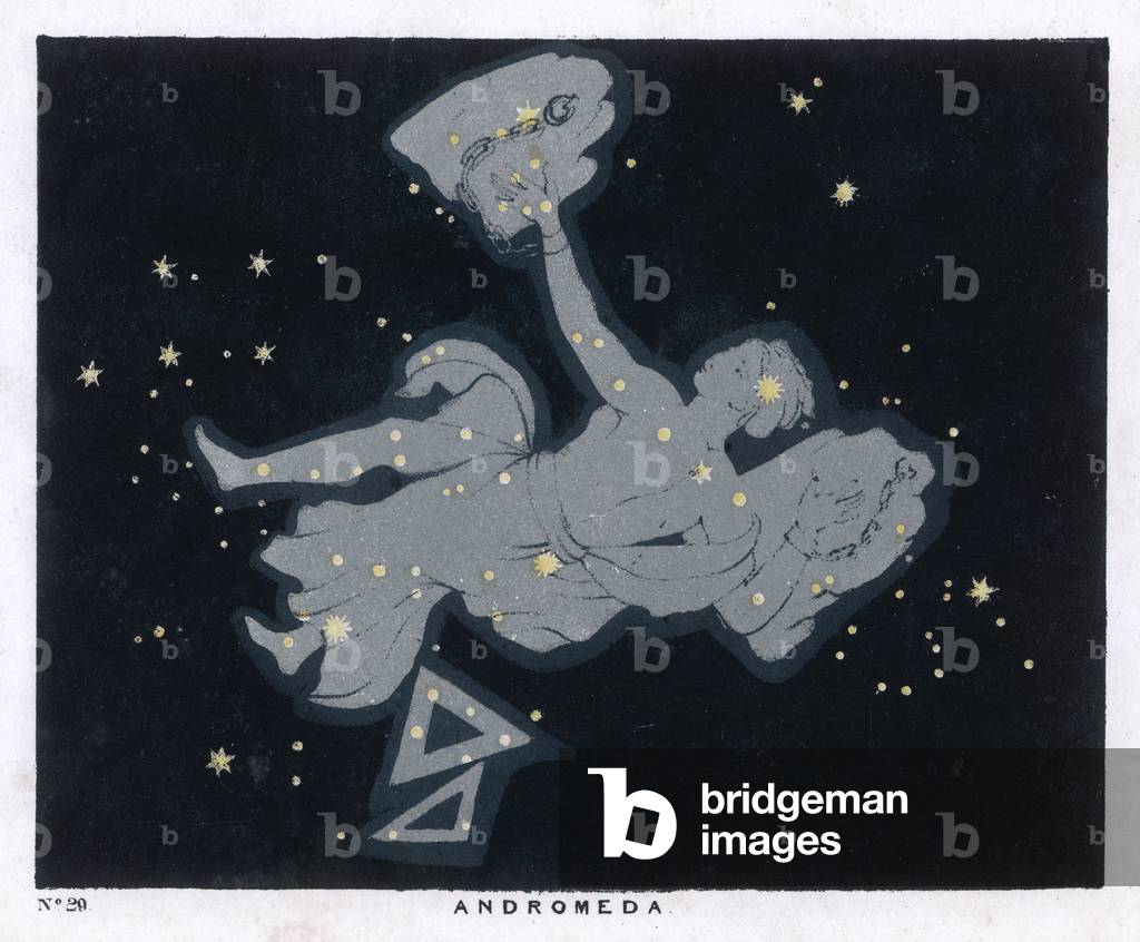 CONTUNDENTE/ANDROMEDA/29/1849