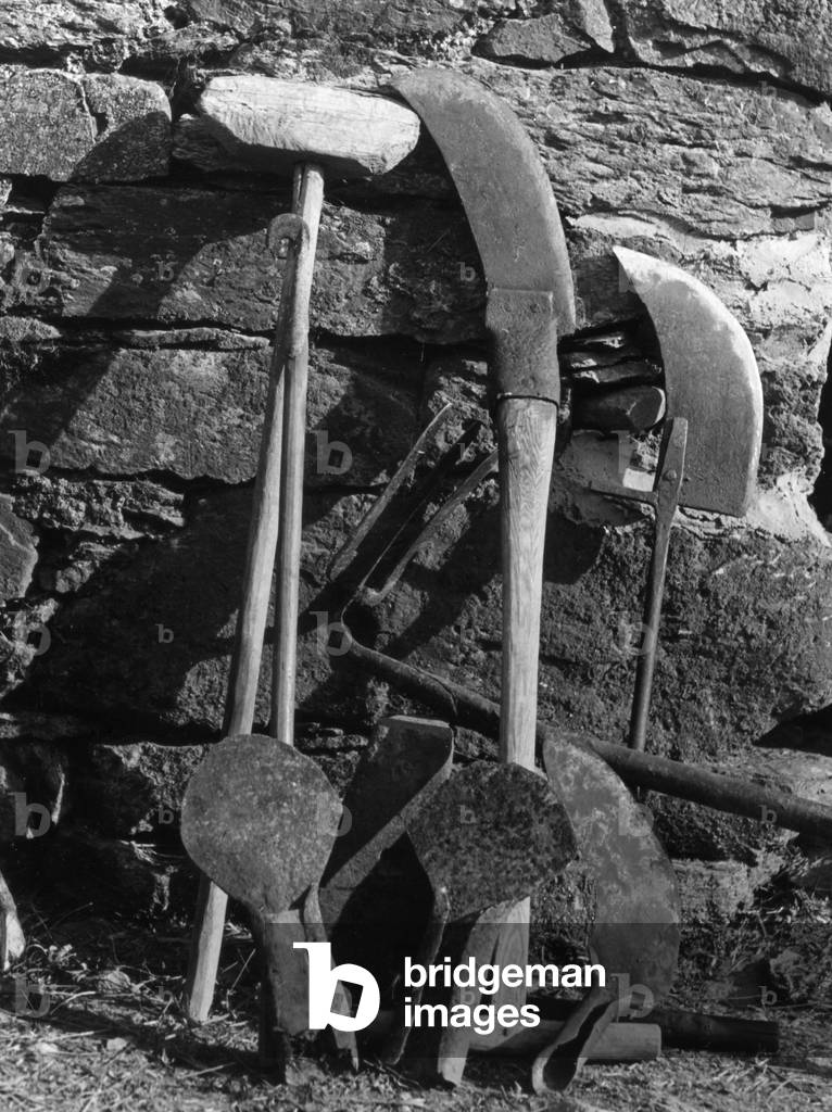 Image of Photography depicting DITCHING TOOLS 1950