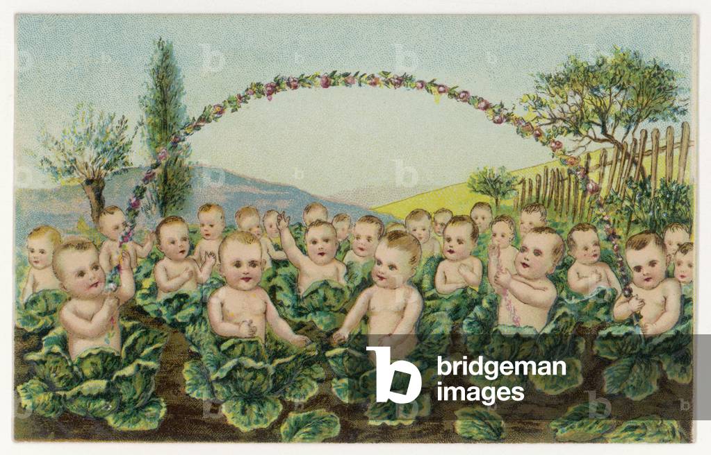 BABYS IM KOHLBEET