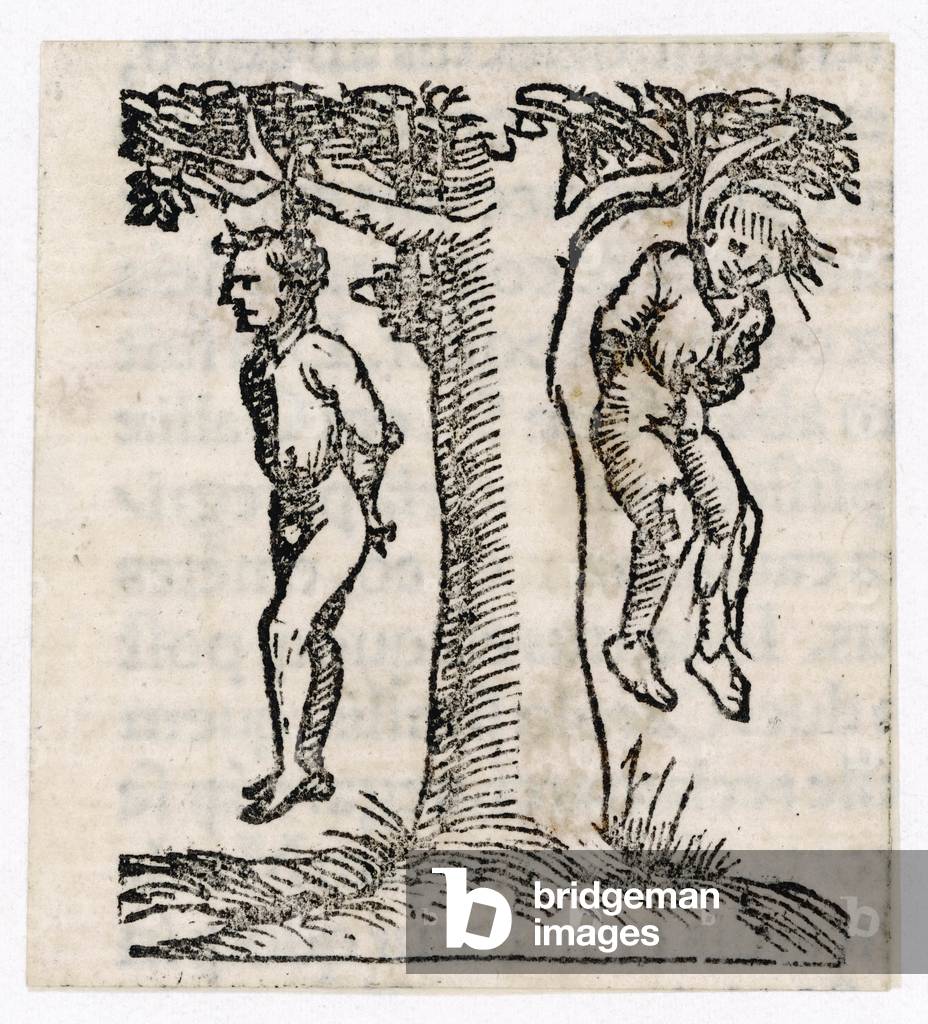 Immagine di Incisione "SOSPESO/ALBERO/16°" 1501