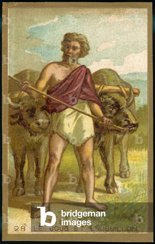 Immagine di Stampa "Primo giogo" 1801