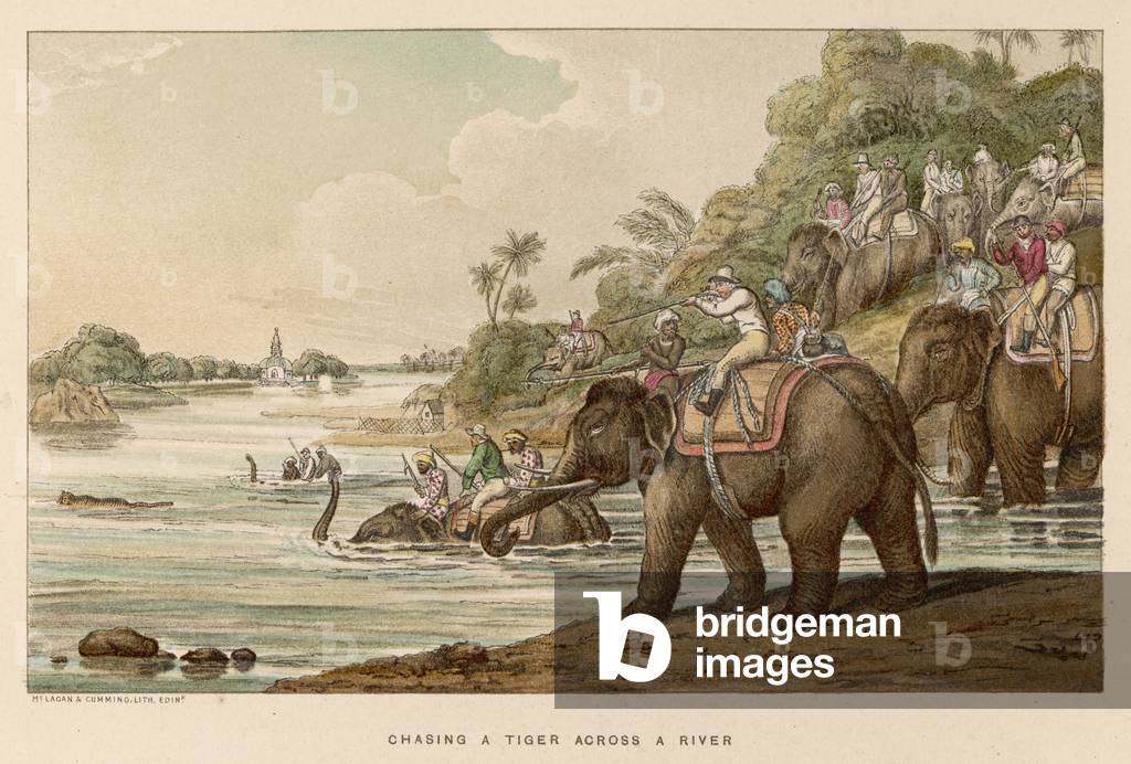 Bild von Druck "WILLIAMSON/TIGER/FLUSS" 1807 von Thomas Williamson