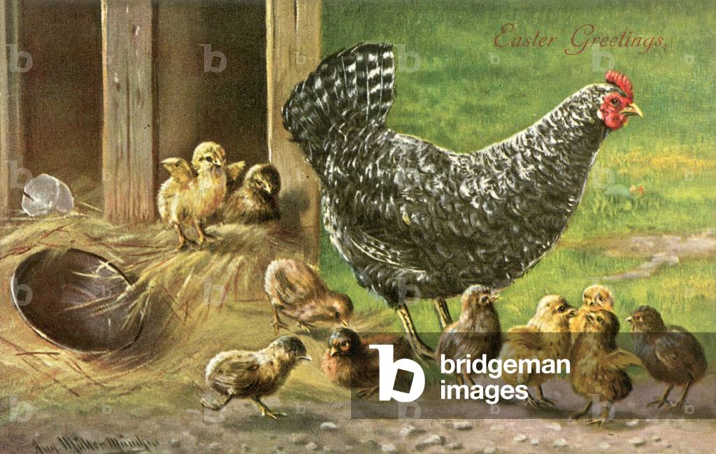 Proverbi - Counting Chicks