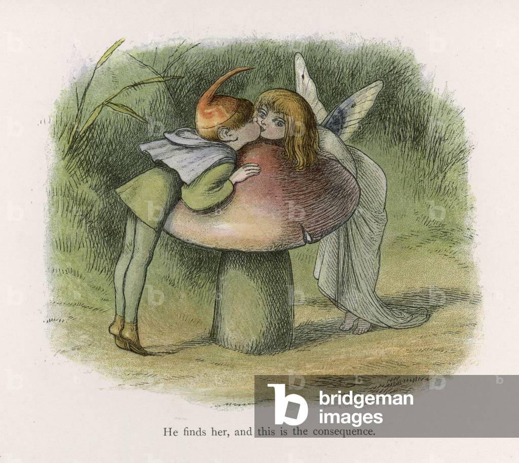 Image de Estampe représentant Folklore - Fées - Doyle 1875 par Richard Doyle
