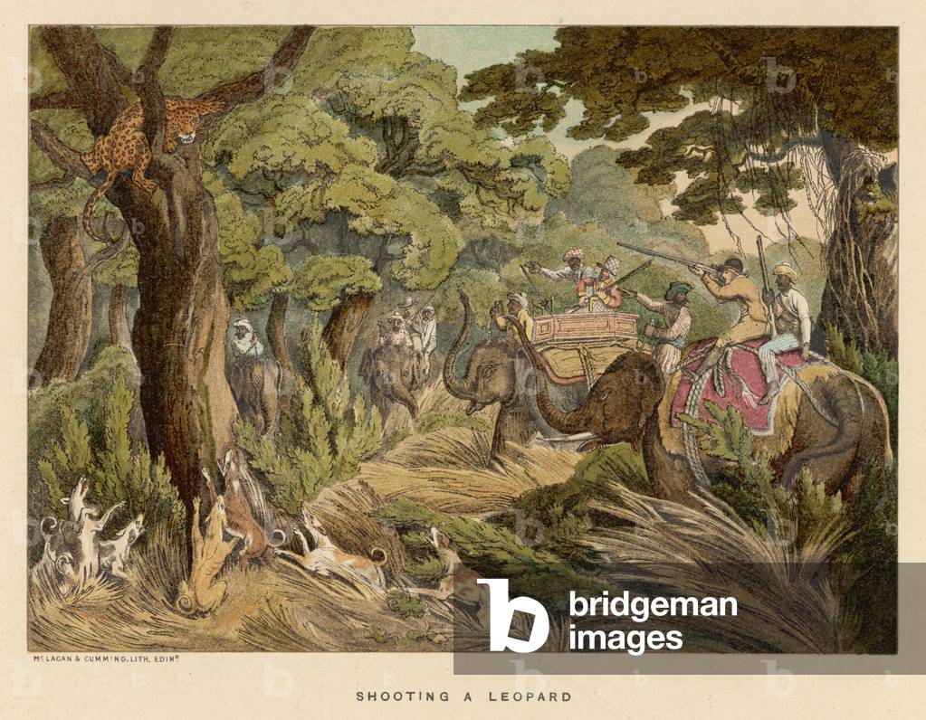 Image de Estampe représentant WILLIAMSON/LEOPARD SHOOT 1807 par Thomas Williamson