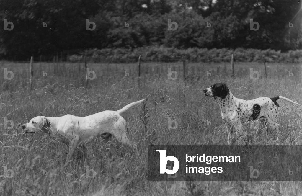 Fall/Pointers sur le terrain