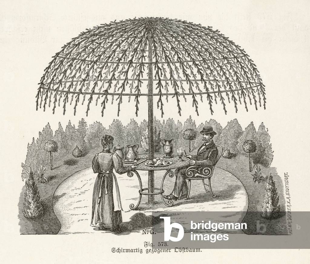 ARBRE DRESSÉ C1850
