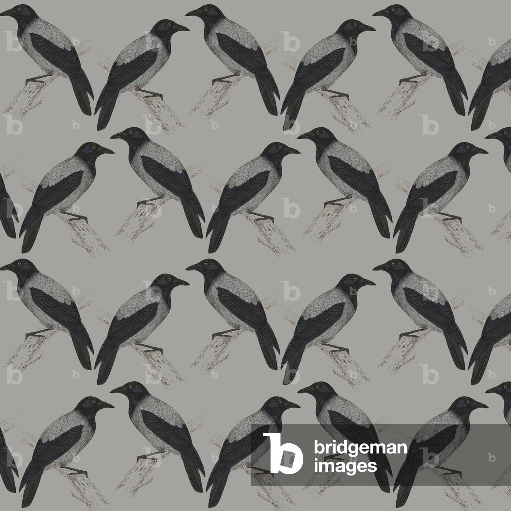 Repeating Pattern - Jackdaws