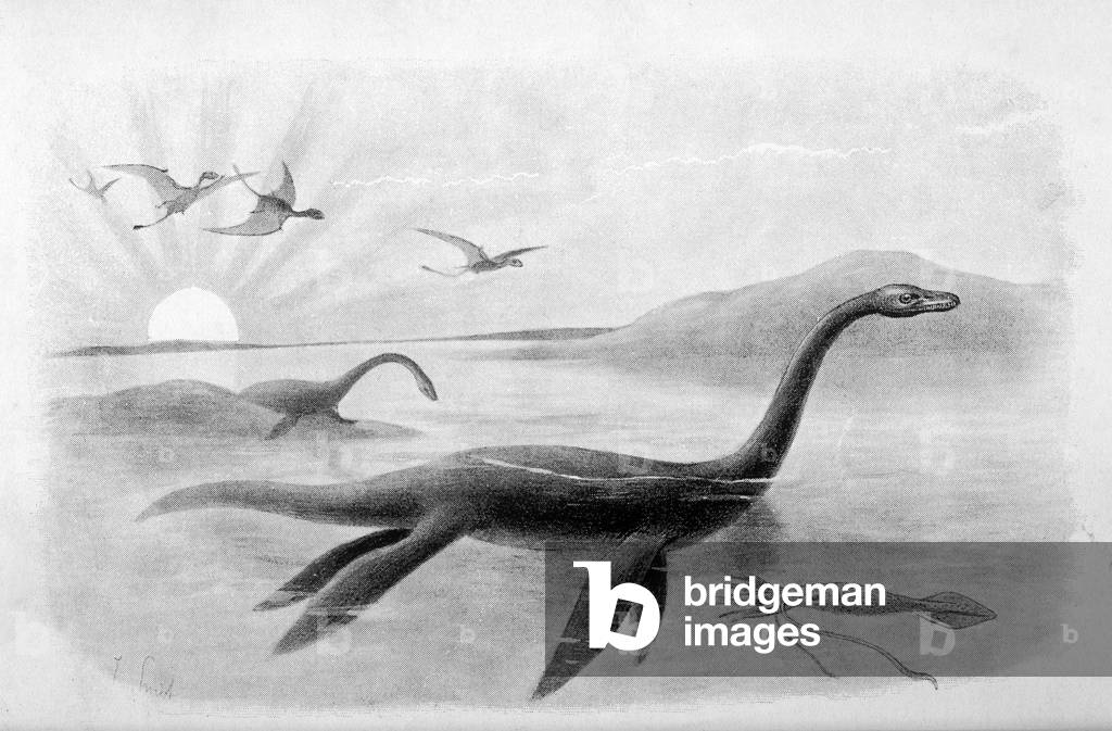 EXTINCT/PLESIOSAURUS