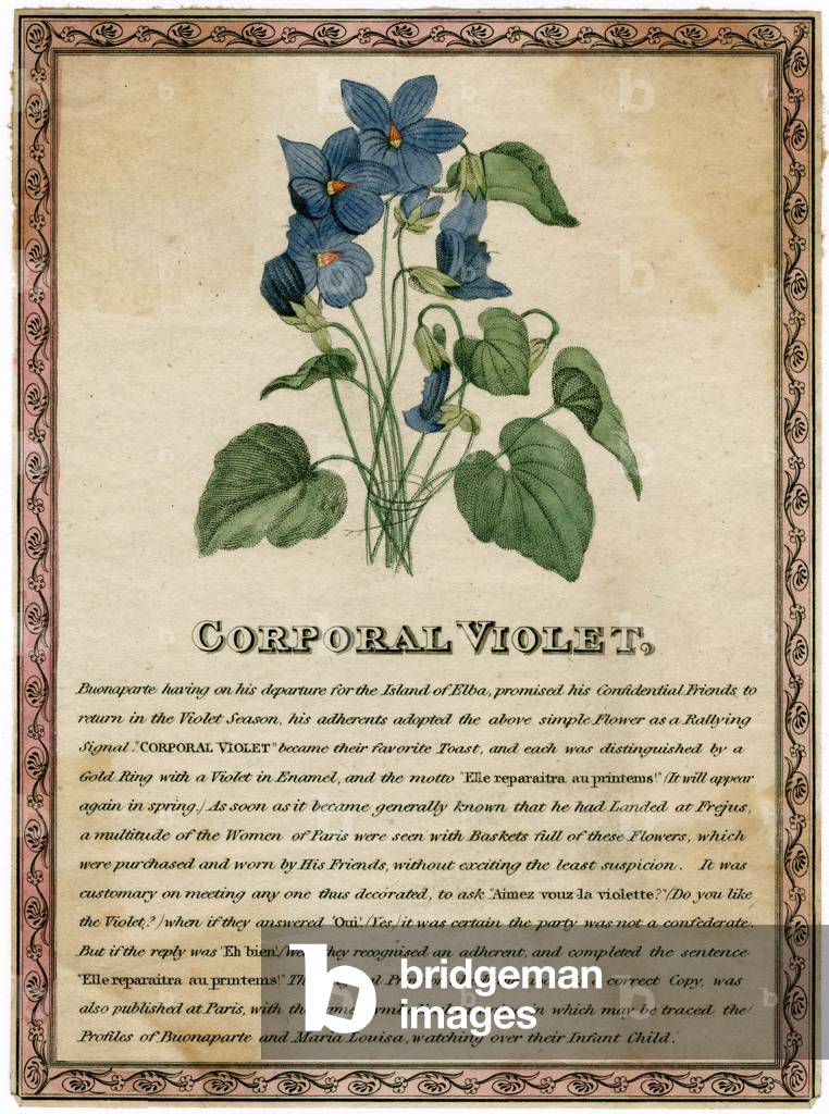 Bild von Gravur "KORPORAL VIOLETT" 1801