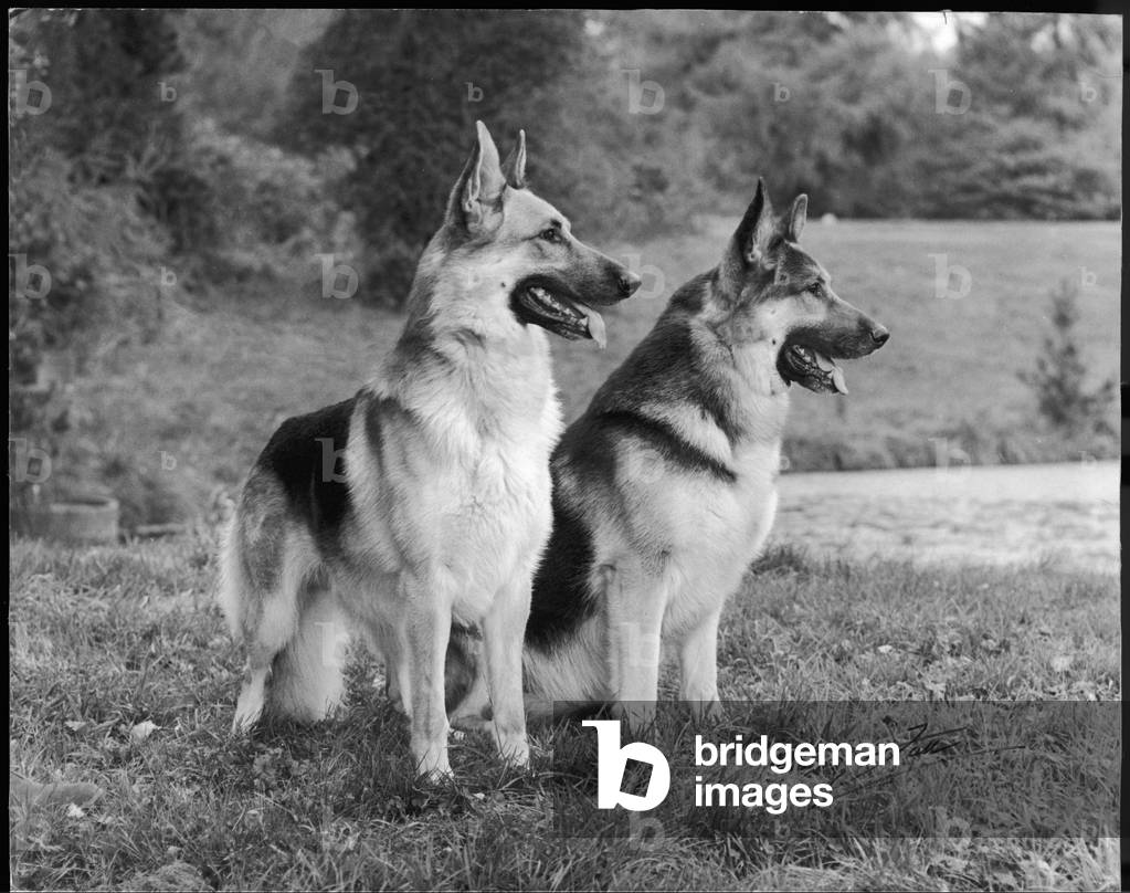FALL/GSD/1969
