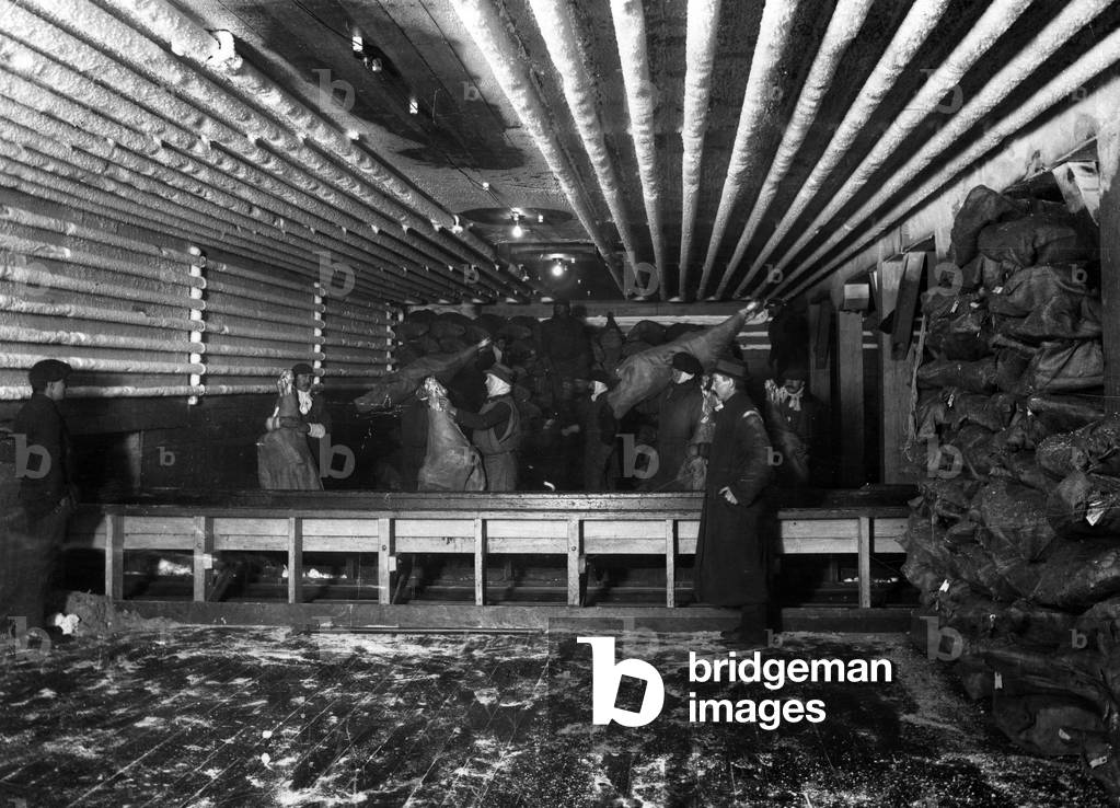 Immagine di Fotografia "CARNE BOVINA PER L'ESPORTAZIONE/ANNI" 1930 di Barnaby's Studios Ltd