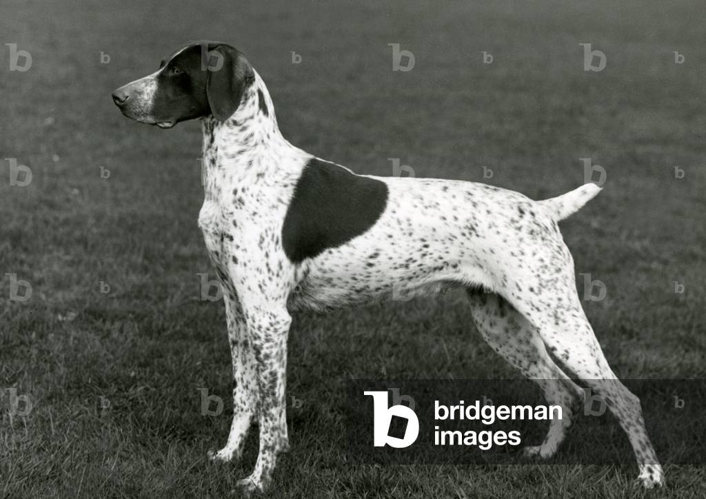 HERBST/DEUTSCHER ZEIGER/1963