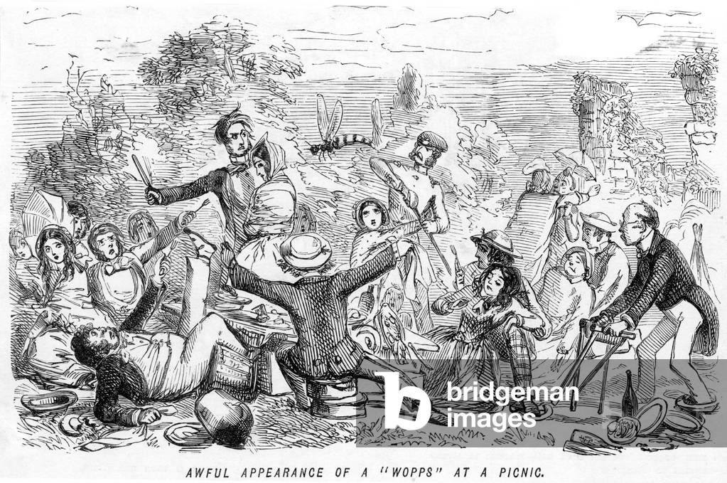 Image de Estampe représentant GUÊPE LORS D'UN PIQUE-NIQUE 1840 par John Leech