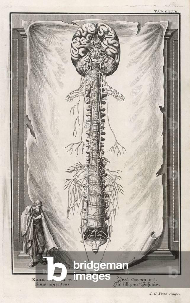 Bild von Gravur "WIRBEL" 1601