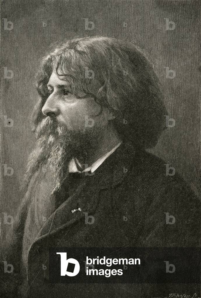 Immagine di Incisione "ALPHONES DAUDET" 1883