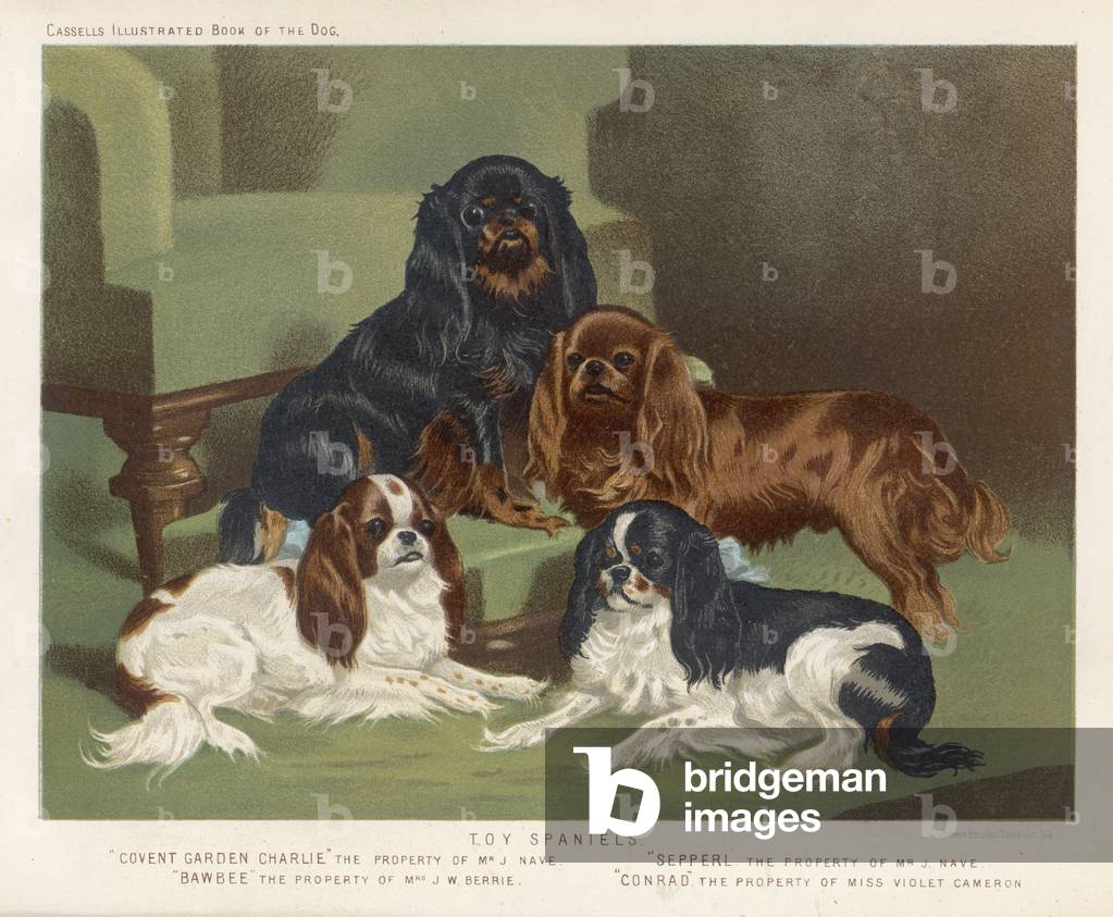 Bild von Druck "Vier Farben zusammen" 1890 von British School