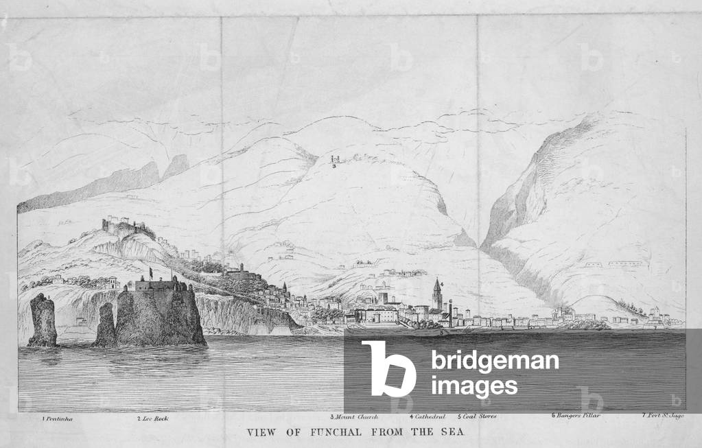 FUNCHAL MADEIRA C19°