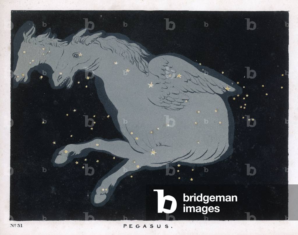 SMUSSO/PEGASO/31/1849