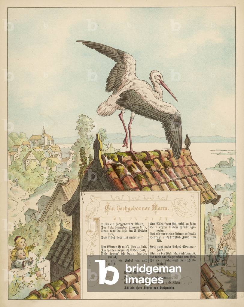 CICOGNE SUL TETTO C1870