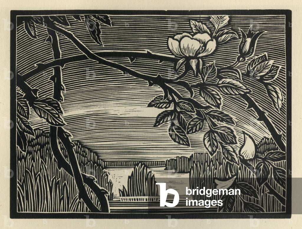 Tribut — Erinnerung