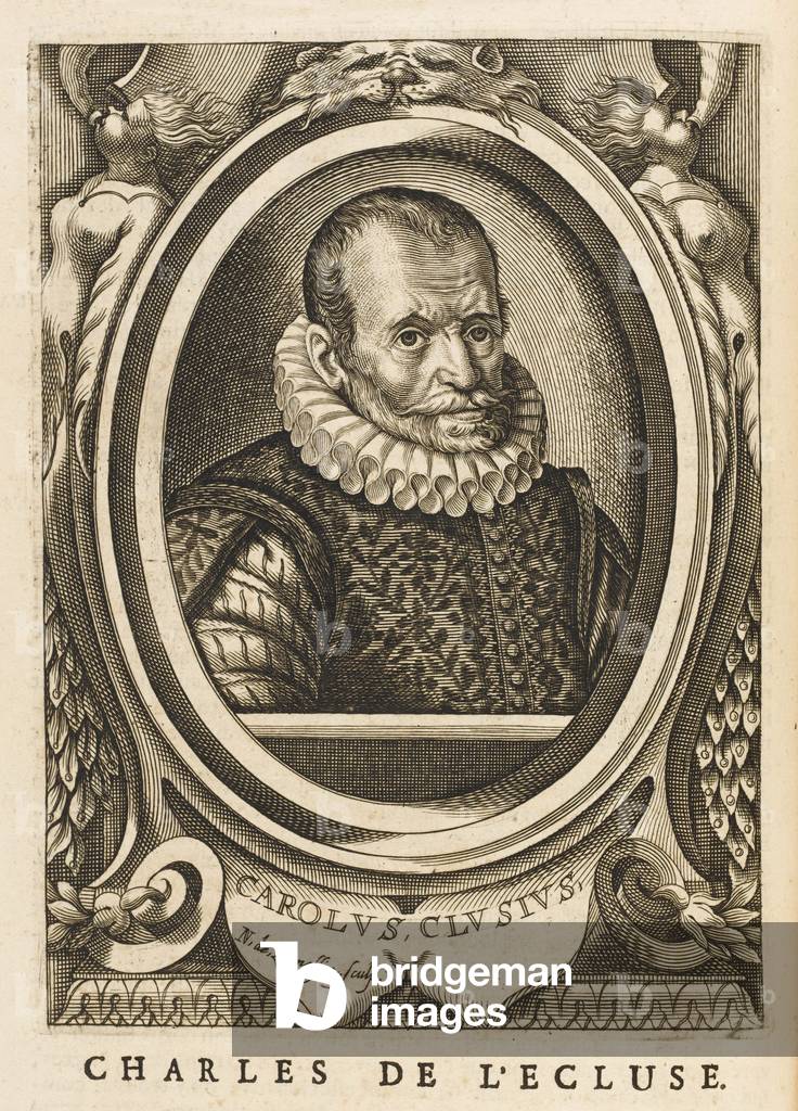 CHARLES DE L'ECLUSE