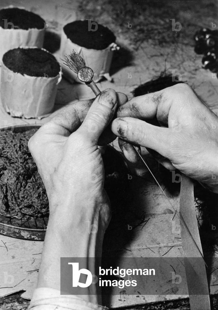 Immagine di Fotografia "FARE PAPAVERI" 1940 di Barnaby's Studios Ltd