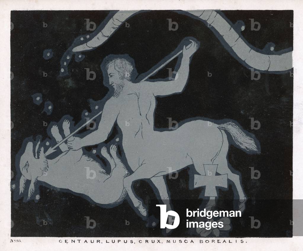 BLUNT/CONSTELLATIONS/88
