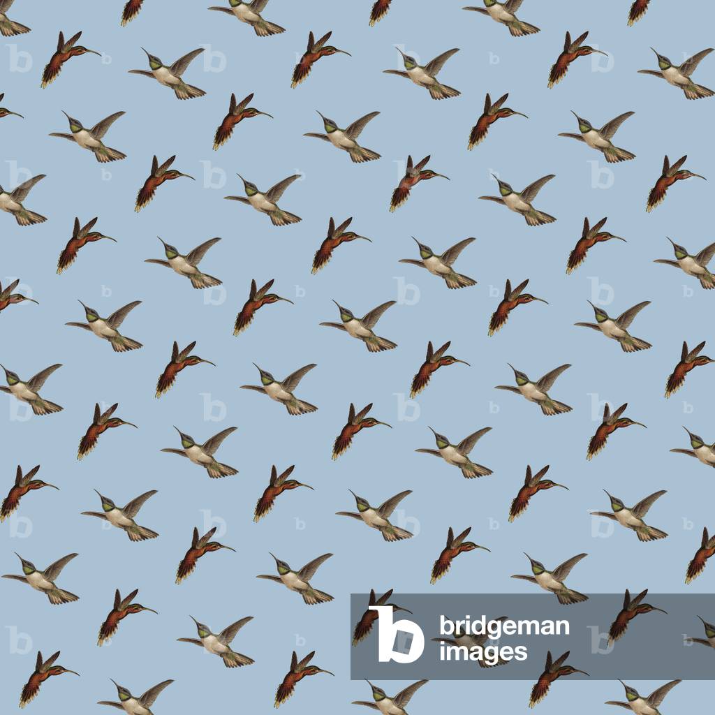 Repeating Pattern - Birds