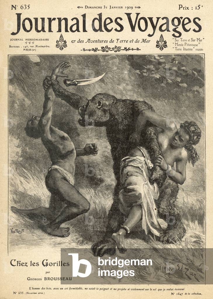 GORILLA BEIM ANGRIFF