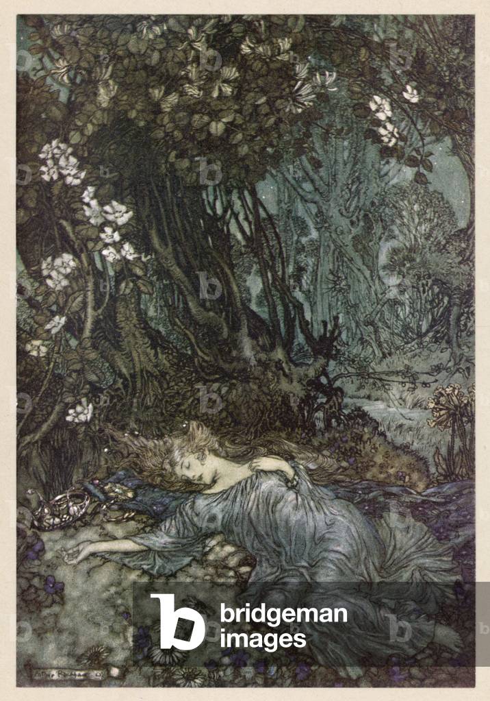 Immagine di Stampa "SHAKESPEARE/TITANIA" 1908 di Arthur Rackham