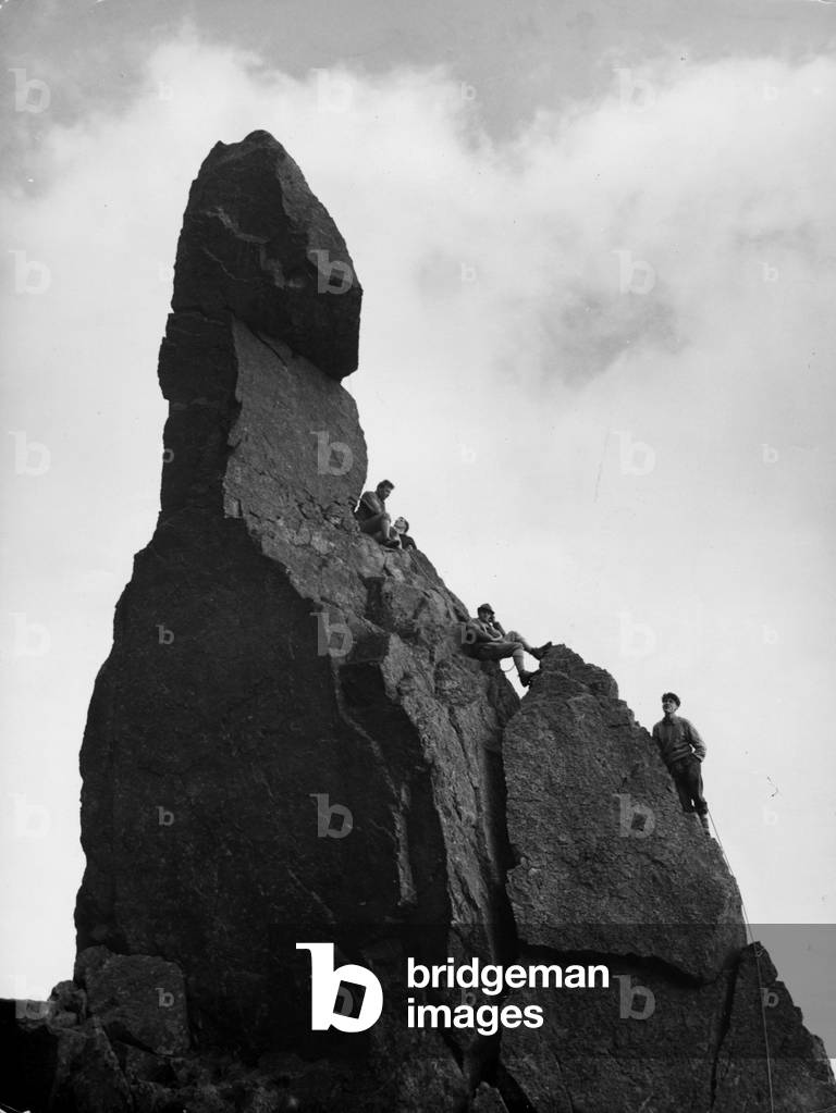 NAPES NEEDLE