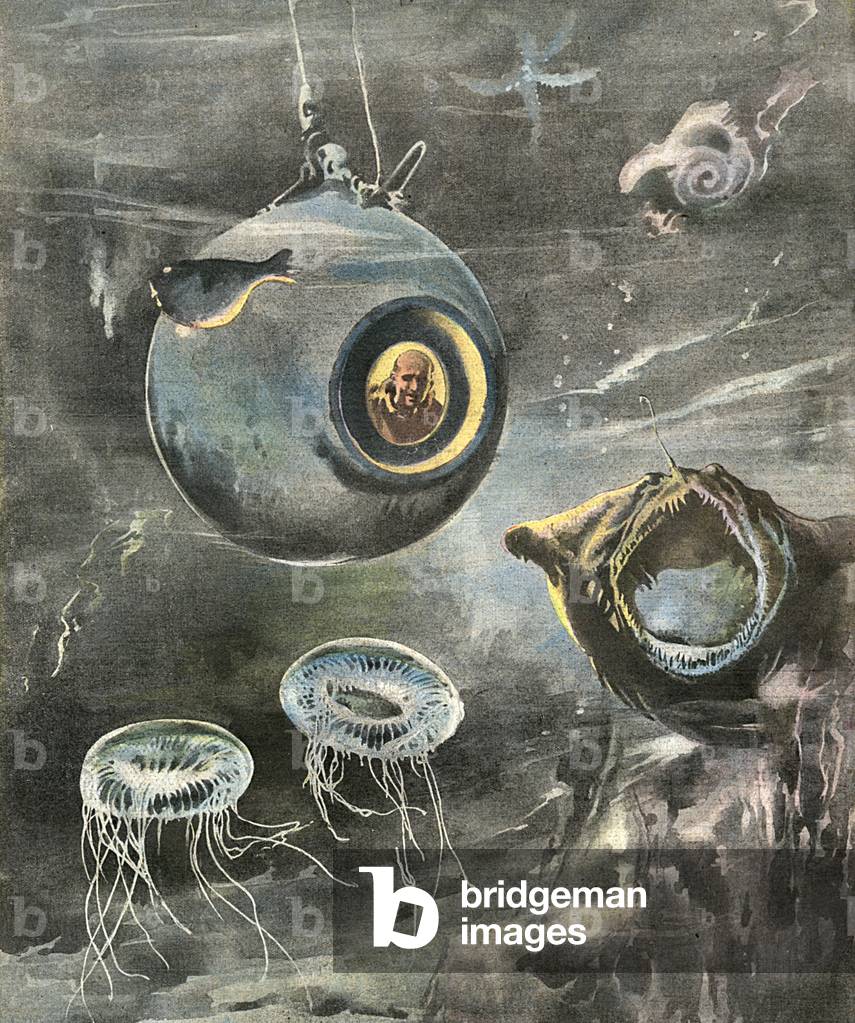 BEEBE NELL'ATLANTICO