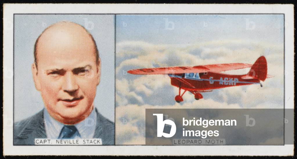 Stack - Leopard Moth Plane