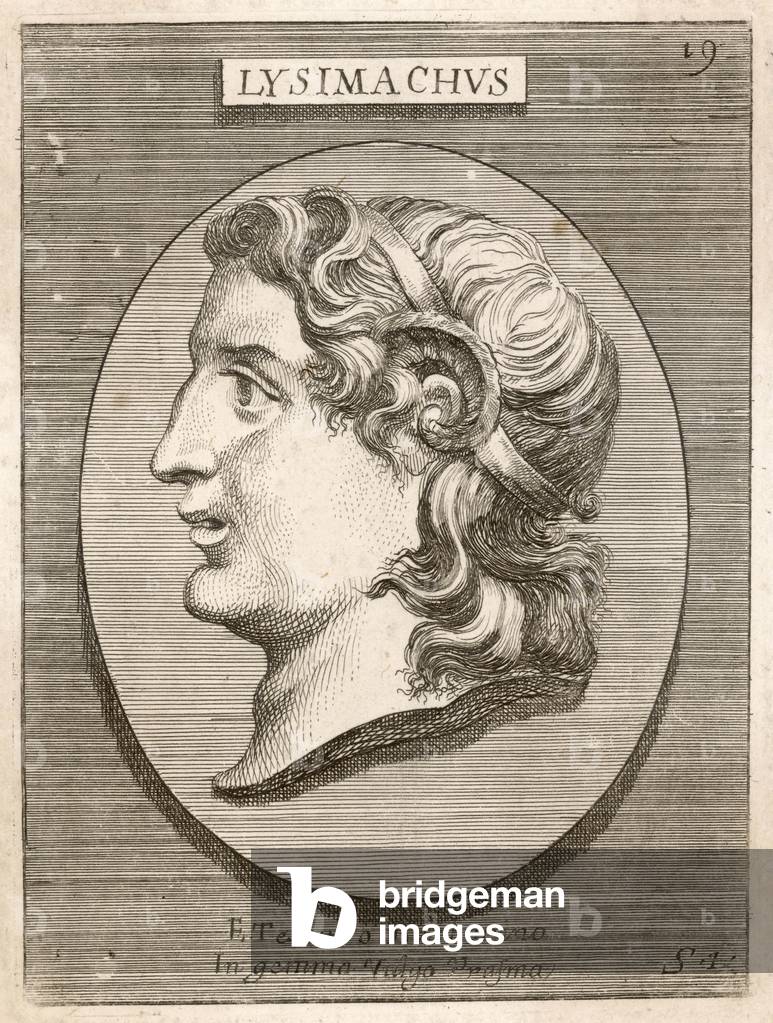 LYSIMACHUS, ALLGEMEIN