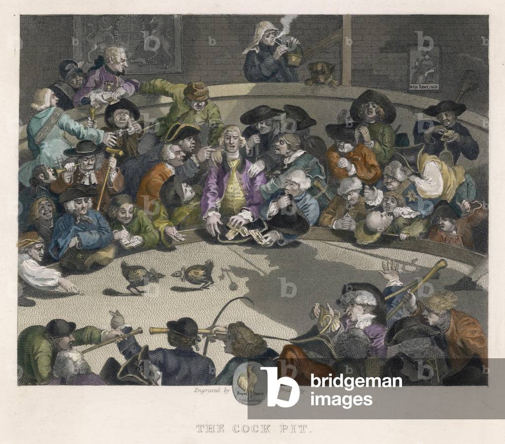 Immagine di Incisione "Combattimento di galli - Hog" 1730 di William Hogarth