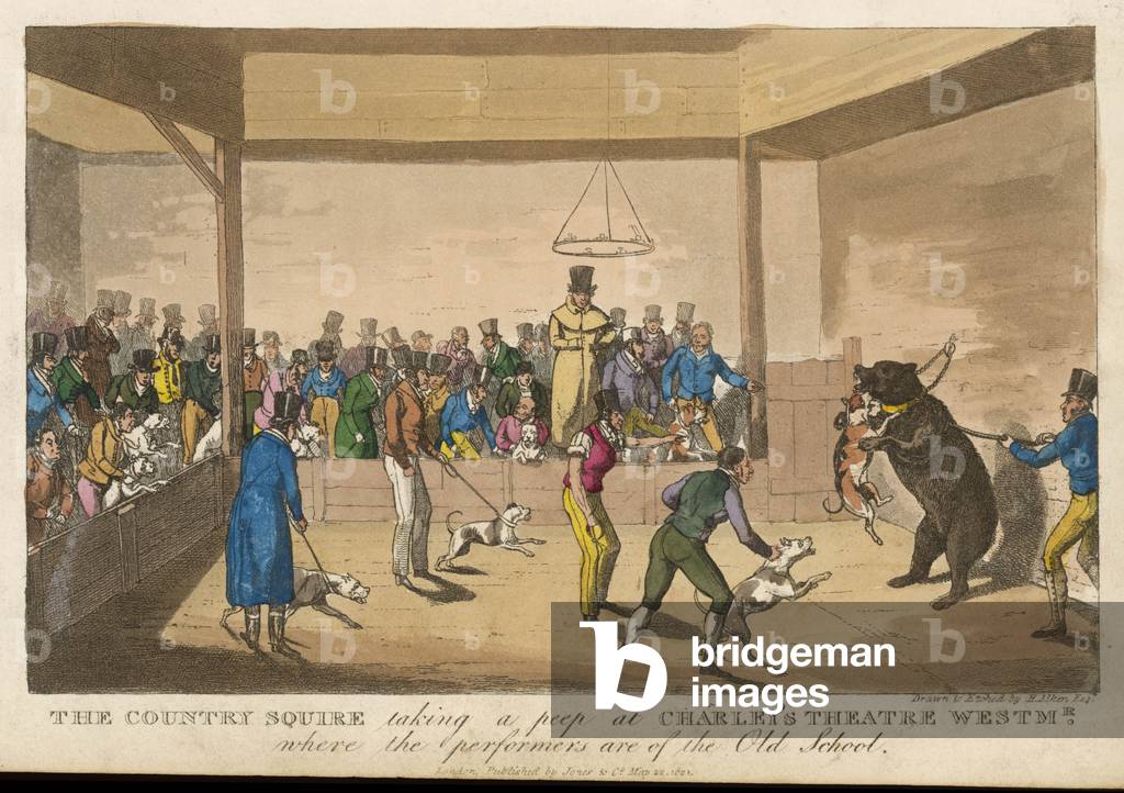 Bear Baiting, 1821