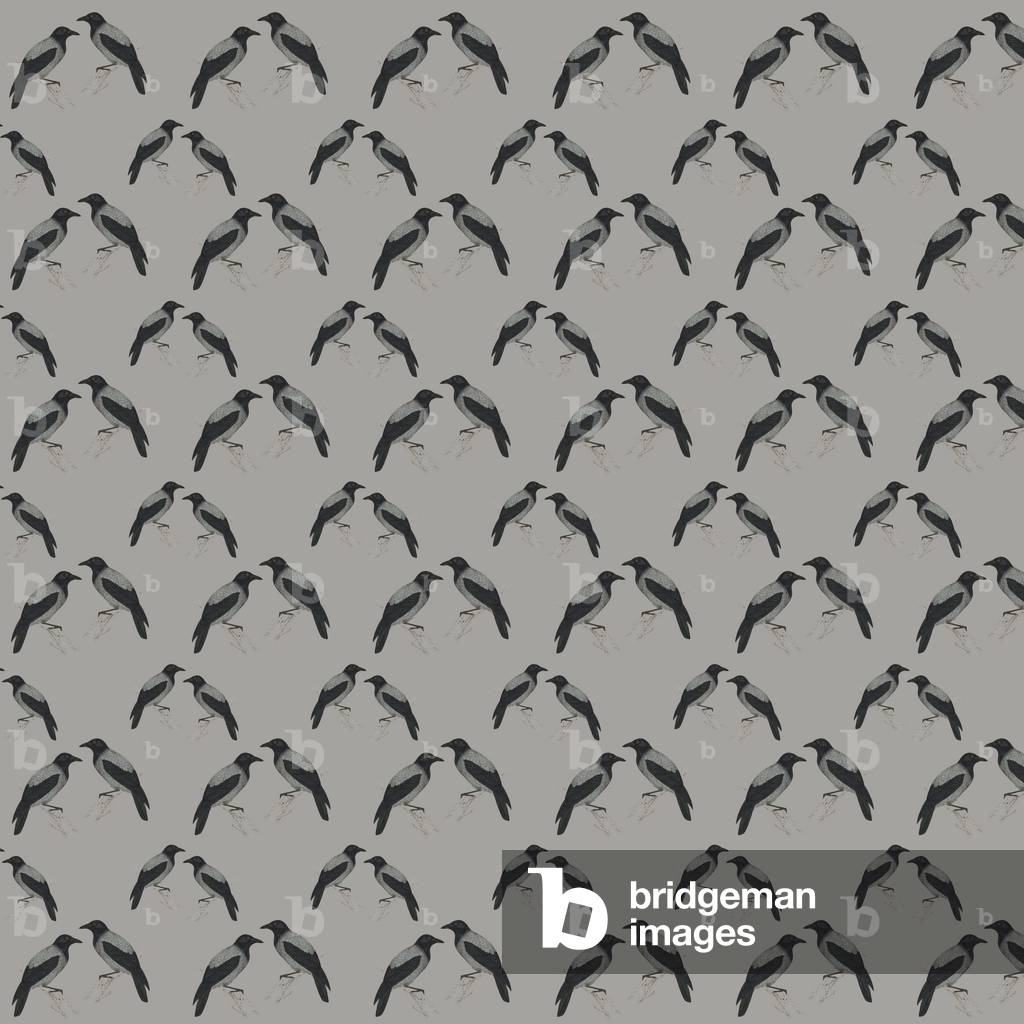 Repeating Pattern - Jackdaws