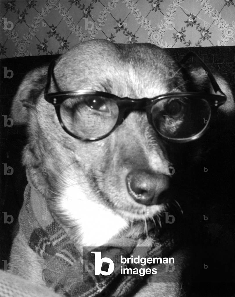 PROFESSOR HUND