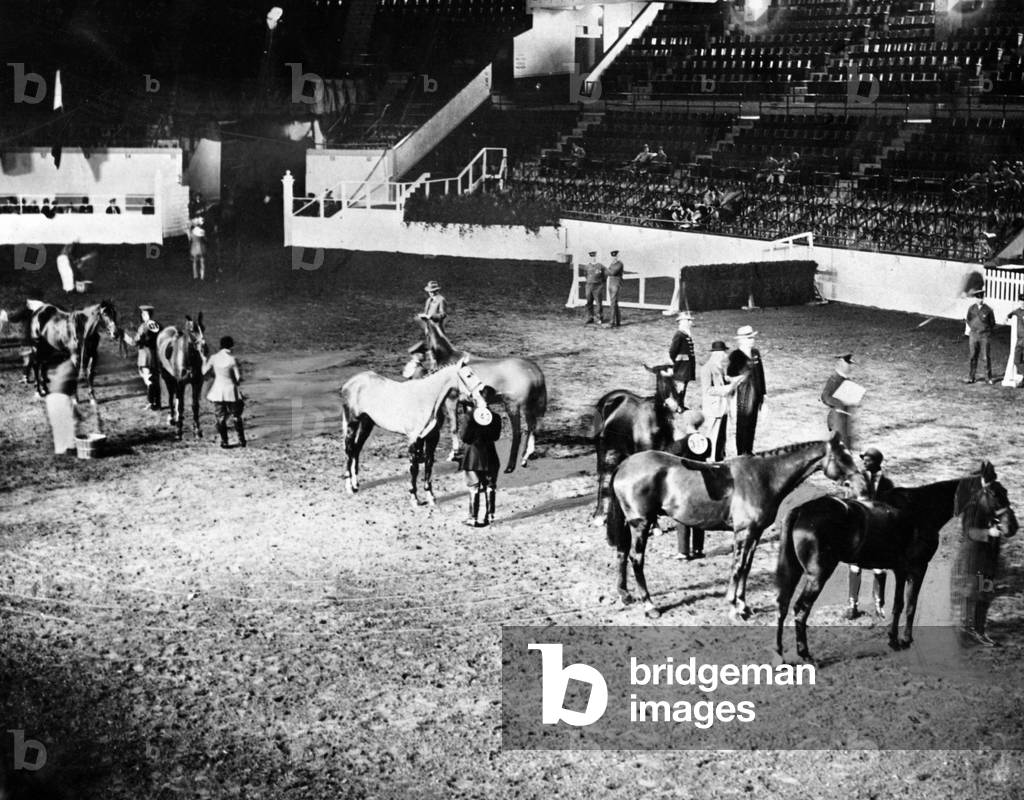 Image de Photographie représentant SAUT D'OBSTACLES 1930 par Barnaby's Studios Ltd