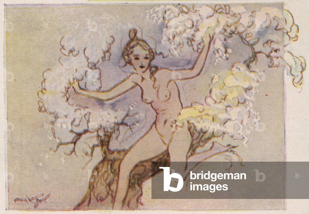 Immagine di Stampa "Fiori" 1933 di Alistair K. MacDonald
